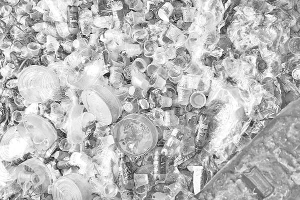 পলিথিনের জয়রথ চলছেই!