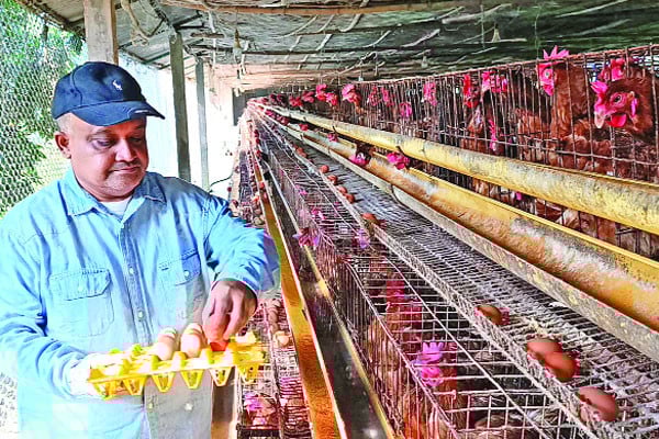 মাছ মাংস দুধ ডিমের রাজ্য