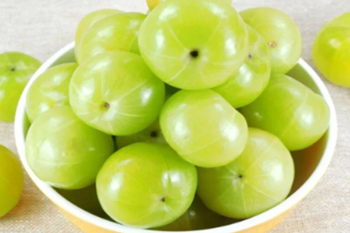 আমলকির স্বাস্থ্য উপকারিতা