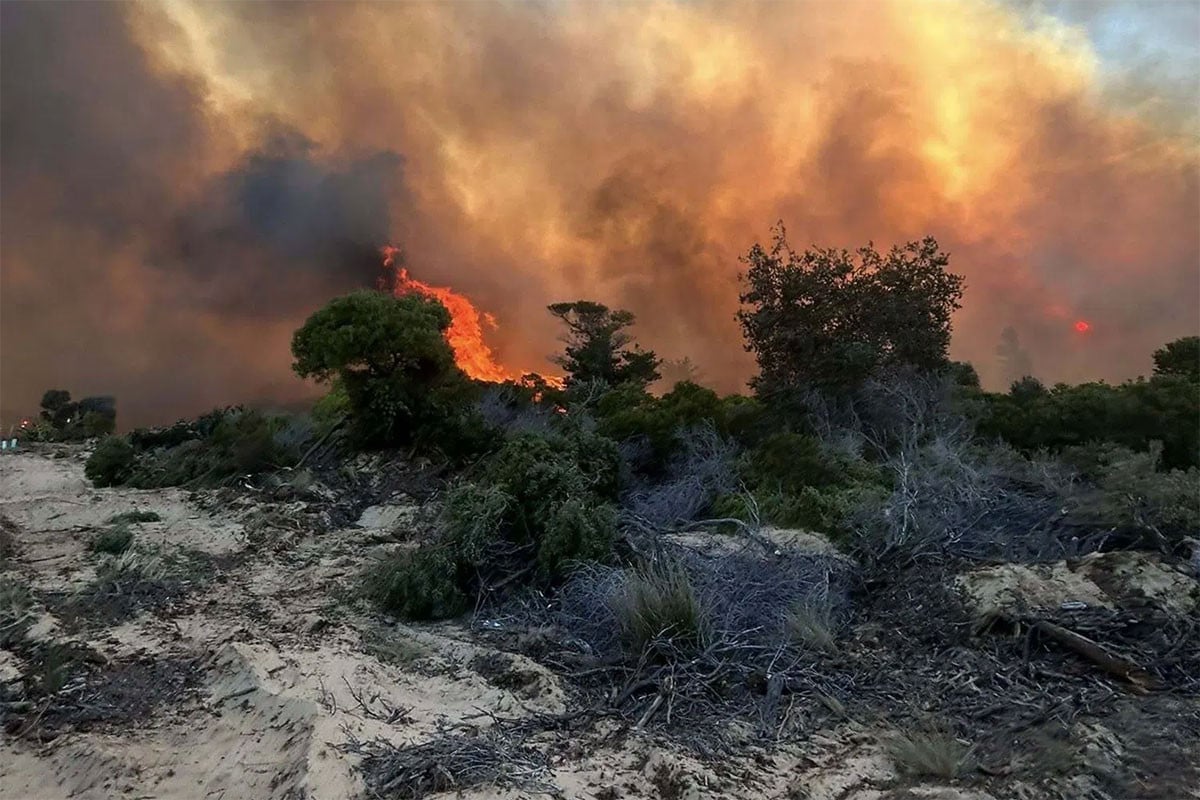 অস্ট্রেলিয়ার পূর্বাঞ্চলে বাতাসে ছড়িয়ে পড়ছে ভয়াবহ দাবানল