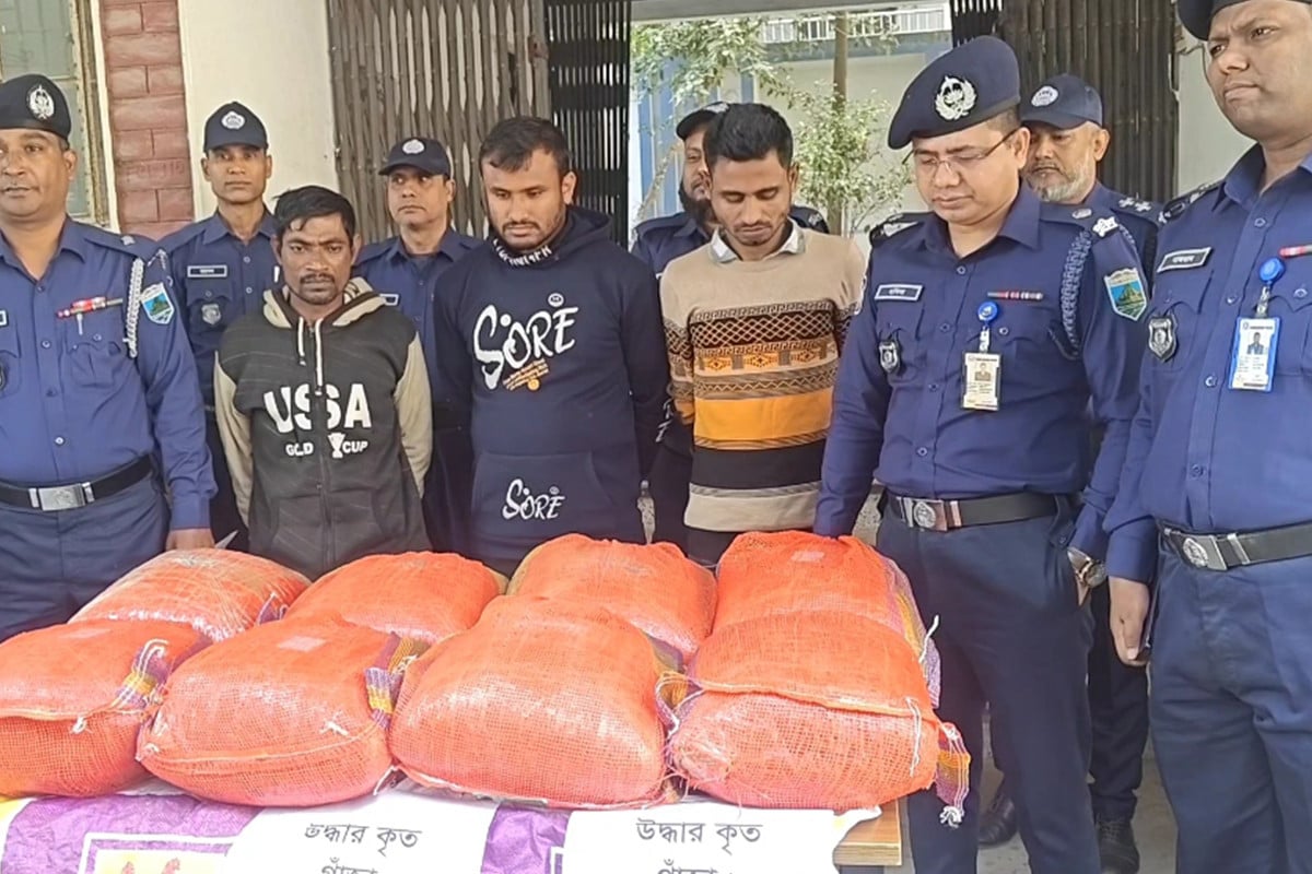 সিরাজগঞ্জে ৪৩ কেজি গাঁজাসহ ৩ মাদক কারবারি গ্রেফতার