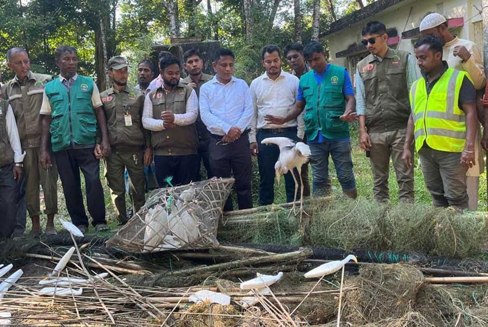 কক্সবাজারে বক ধরার সরঞ্জাম জব্দ