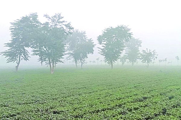 উত্তরে শীতের হিমেল হাওয়া