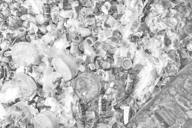 পলিথিনের জয়রথ চলছেই!