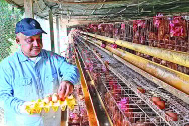 মাছ মাংস দুধ ডিমের রাজ্য