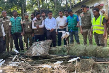 কক্সবাজারে বক ধরার সরঞ্জাম জব্দ