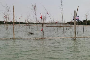 গোপালগঞ্জে জলাশয়ে ফিরছে দেশীয় মাছ