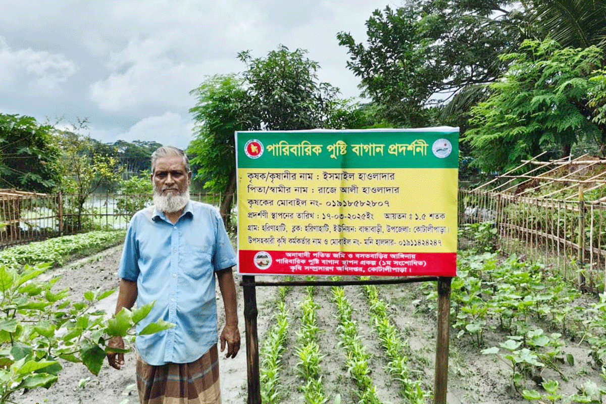 পারিবারিক বাগানে মিলছে পুষ্টি ও অর্থ