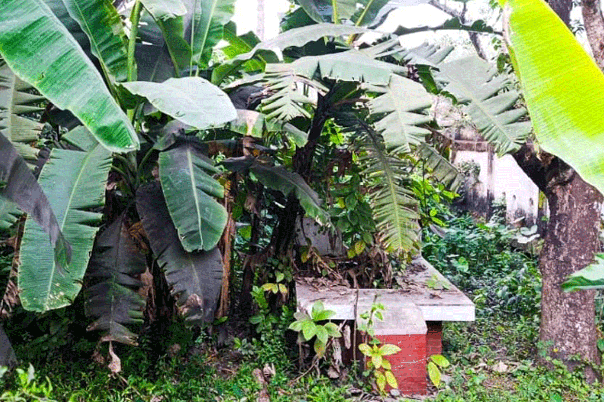 বীর মুক্তিযোদ্ধাদের গণকবর ও বদ্ধভূমি সংরক্ষণের দাবি