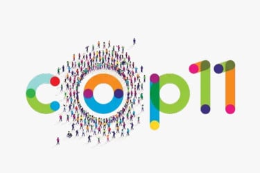 কপ১১ বৈঠকে তামাক নিয়ন্ত্রণে বিজ্ঞানভিত্তিক নীতির দাবি জোরদার