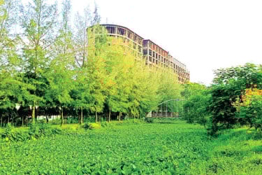 সৌন্দর্য ও প্রশান্তির মেলবন্ধন মীর মুগ্ধ সরোবর