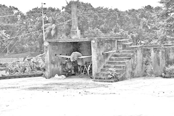 ১৩৯ হাসকিং মিলের ১১৮টিই বন্ধ