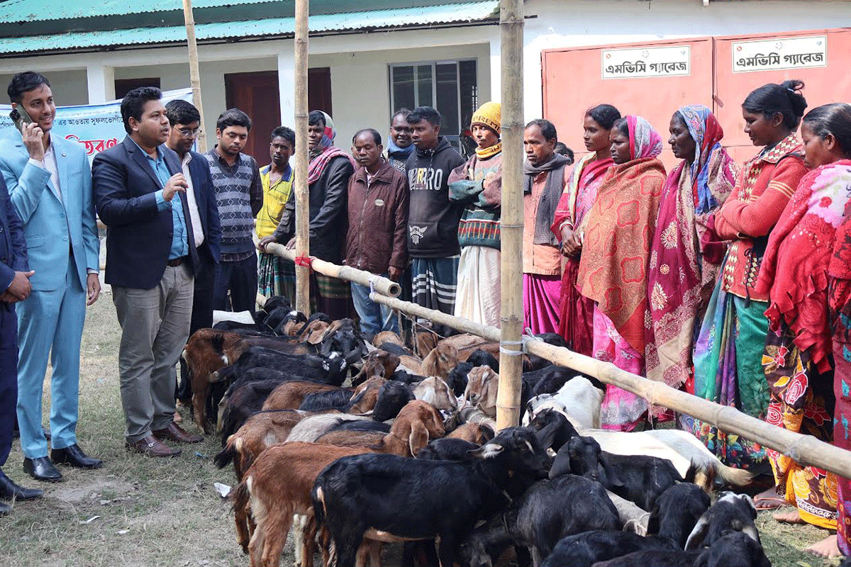 সিংড়ায় ১০০ জন ক্ষুদ্র নৃ-গোষ্ঠির মাঝে ২০০ ছাগল বিতরণ