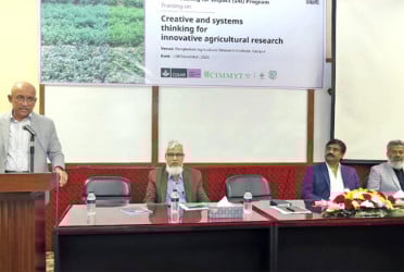 বারিতে পদ্ধতিগত ভাবনা শীর্ষক প্রশিক্ষণ