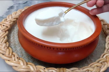 শীতে প্রতিদিন টক দই খেলে কী উপকার?