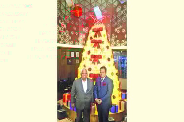 ৪ হাজার প্লাস্টিক বোতল দিয়ে তৈরি ক্রিসমাস ট্রি