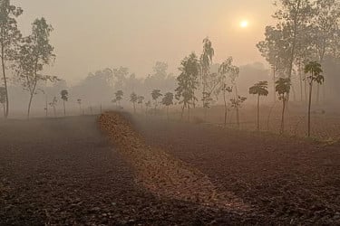 দেশের সর্বনিম্ন তাপমাত্রা তেঁতুলিয়ায়