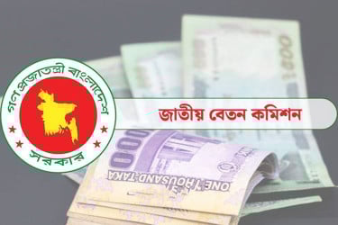 পে স্কেল কার্যক্রম দ্রুত নিষ্পত্তির তাগিদ