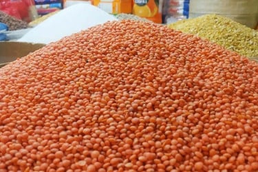 ১০ হাজার টন মসুর ডাল কেনার অনুমোদন