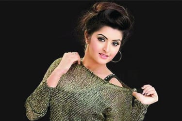 পরীর নতুন গোলাপ