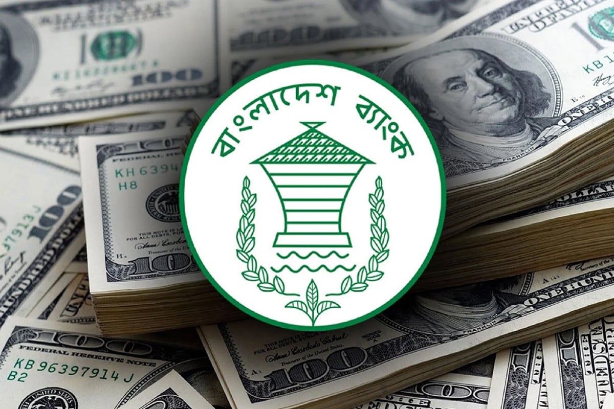 ১৩ ব্যাংক থেকে ২০ কোটি ২০ লাখ ডলার কিনল বাংলাদেশ ব্যাংক