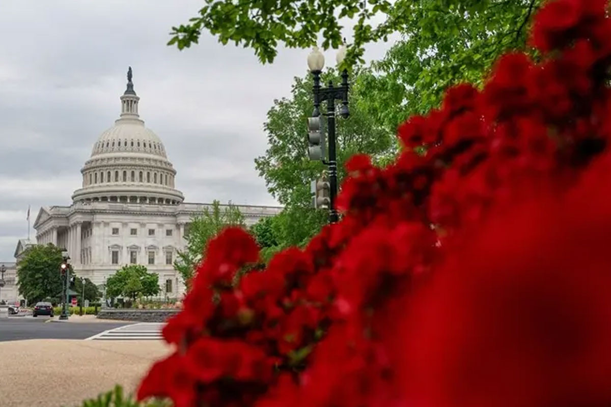নিরাপত্তা পেলে ইউক্রেনে নির্বাচন আয়োজনে প্রস্তুত জেলেনস্কি
