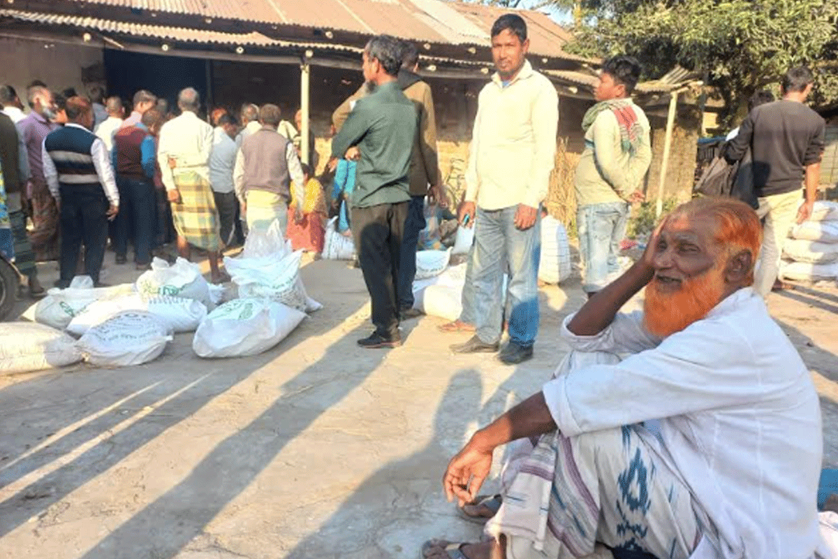 ঠাকুরগাঁওয়ে বেশি দামে সার কিনতে বাধ্য হচ্ছেন কৃষকরা