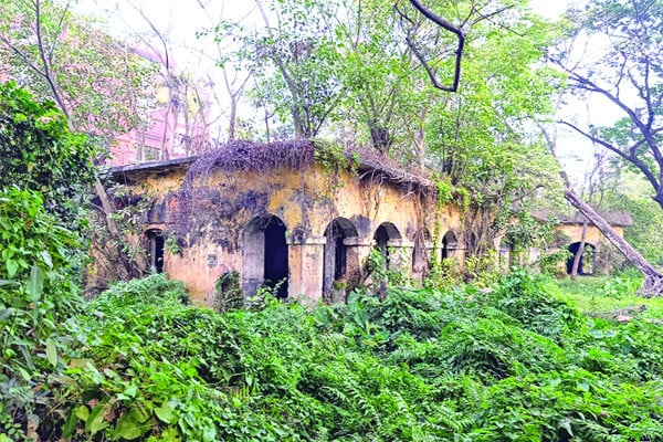 নামে নিউ হোস্টেল বাস্তবে জঙ্গল
