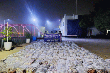 নারায়ণগঞ্জে ৭০ লাখ টাকা মূল্যের জাটকা জব্দ