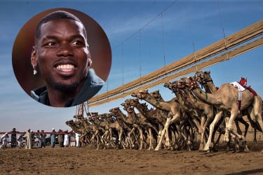 উট দৌড়ের দলে বিনিয়োগ করলেন পগবা