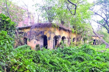 নামে নিউ হোস্টেল বাস্তবে জঙ্গল