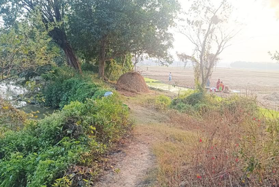 ১৯৭১ : এক গ্রামে ৩২ জনকে হত্যা