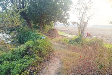 ১৯৭১ : এক গ্রামে ৩২ জনকে হত্যা