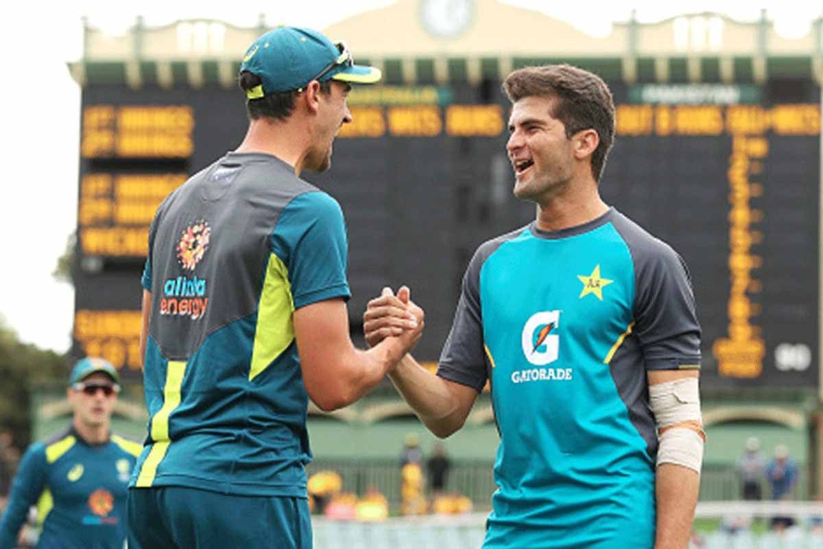 শাহীন আফ্রিদির আইডল মিচেল স্টার্ক