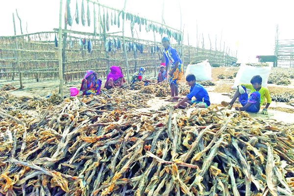 শুঁটকিপল্লিতে মহাকর্মযজ্ঞ