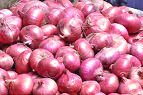 বগুড়ায় কমেনি পিঁয়াজের ঝাঁজ স্বস্তি নেই সবজির দামে