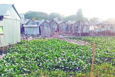 কড়াইল লেক দখলের মহোৎসব