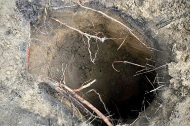 ৫ ফুট উচ্চতার সুড়ঙ্গ খুঁড়ে বেলারুশ থেকে পোল্যান্ডে ঢুকল ১৮০ অভিবাসী