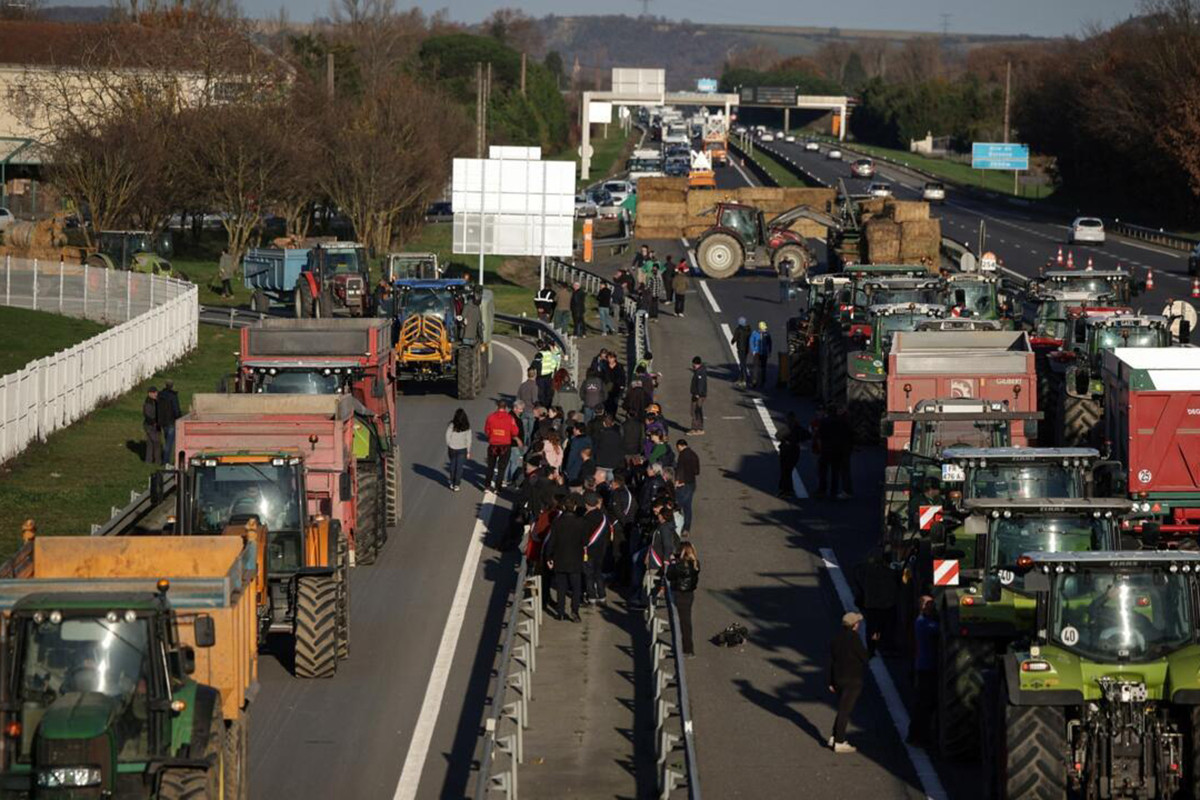 ফ্রান্সে গরু নিধনের প্রতিবাদে কৃষকদের সড়ক অবরোধ