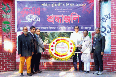 হাবিপ্রবিতে শহিদ বুদ্ধিজীবী দিবস পালিত