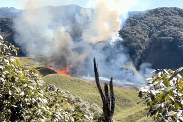'৪ ব্যক্তির ভুলে' দাবানলে জ্বলছে ভারতের নাগাল্যান্ড