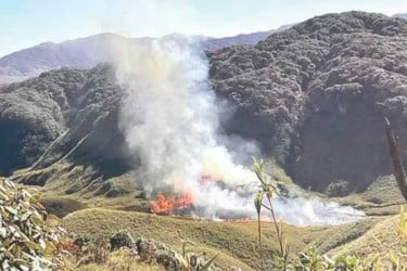 দাবানলে পুড়ছে নাগাল্যান্ডের জুকো উপত্যকা