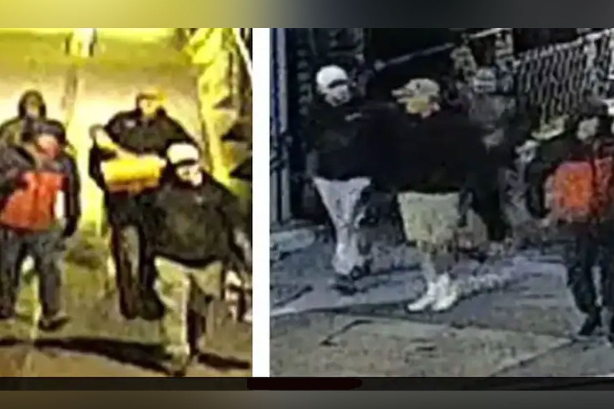 ব্রিস্টলের জাদুঘরে দুঃসাহসিক চুরি