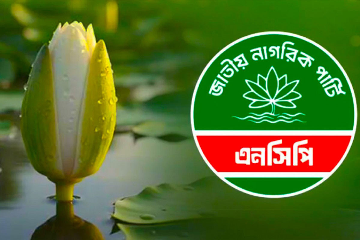 বিজয় দিবসে আগ্রাসনবিরোধী যাত্রা করবে এনসিপি