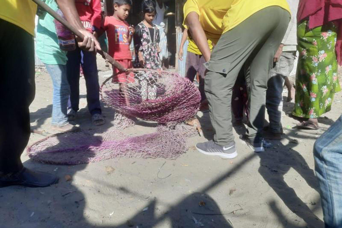 কক্সবাজারে জলাতঙ্কের টিকা পাচ্ছে ৩৫ হাজার কুকুর