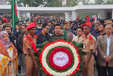 পিরোজপুরে নানা আয়োজনে বিজয় দিবস পালন
