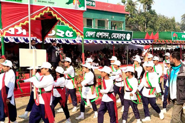 মেহেরপুরে নানা কর্মসূচিতে মহান বিজয় দিবস উদযাপিত