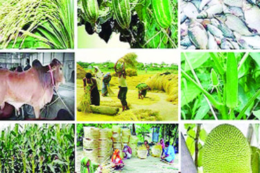 আর্থিক অন্তর্ভুক্তিতে গ্রামীণ বিপ্লব