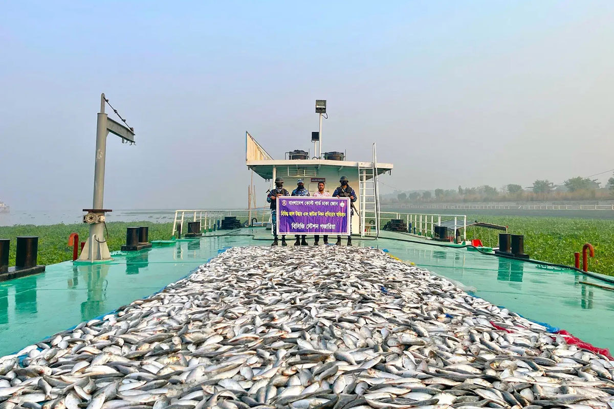 মুন্সীগঞ্জে ৪৩ লক্ষ টাকার জাটকা জব্দ