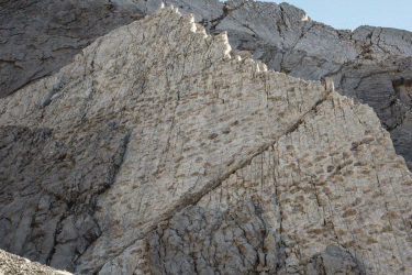 ইতালির দুর্গম পাহাড়ে ডাইনোসরের পায়ের ছাপ পাওয়া গেছে